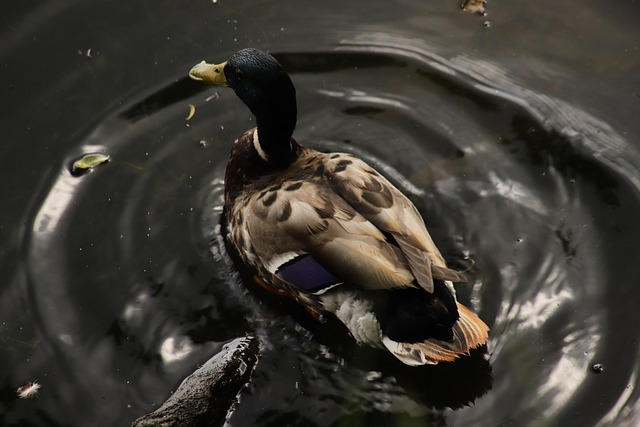 Sådan knækker du koden: 10 tips til at løse krydsord hurtigere